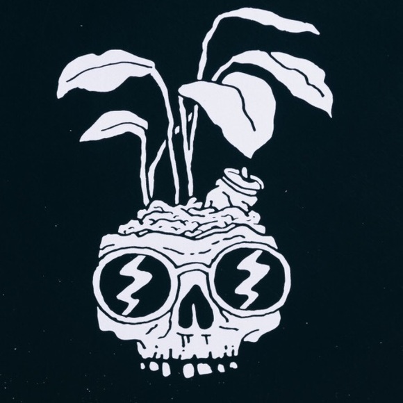 Meet your Posher, Cody - Picture 1 of 1